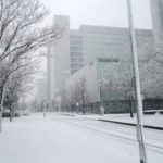 東京で雪が降った日数 今と昔
